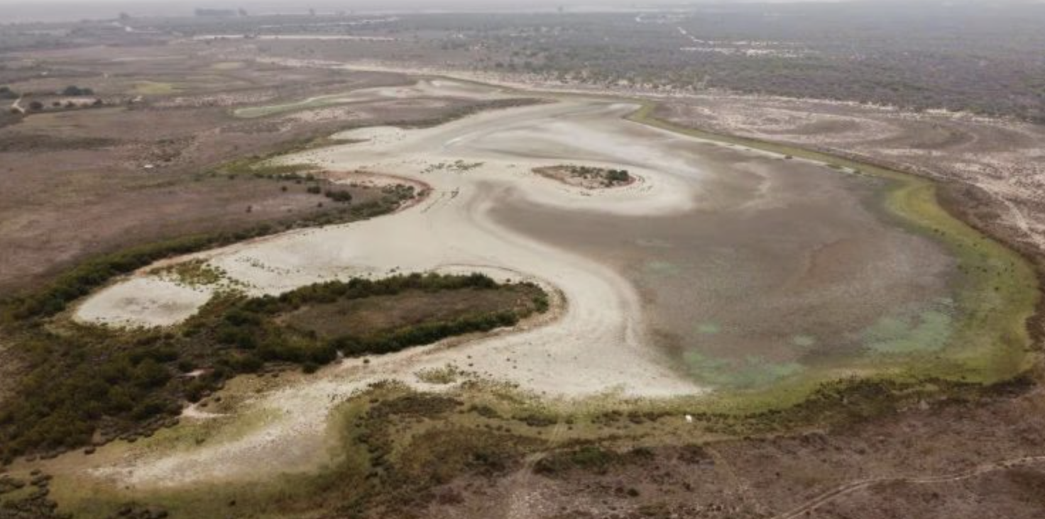 Vista aérea de la laguna de Santa Olalla, captada por la Estación Biológica de Doñana, CSIC